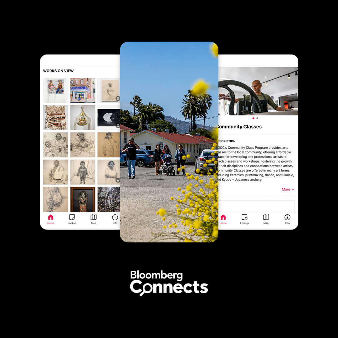 Preview of the Digital Guide. 