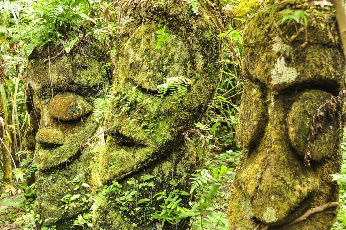 Fern-Tree-Carvings-big